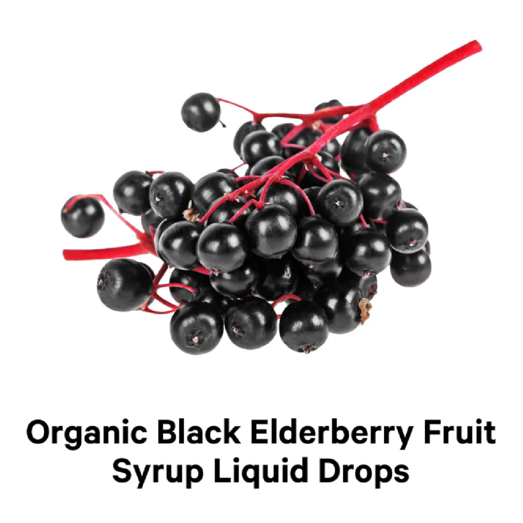 ELDERBERRY IMMUNE COMPLEX: Organic Black Sambucus Syrup