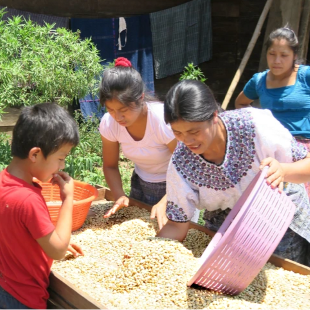 GUATEMALA: Organic Whole Bean Coffee