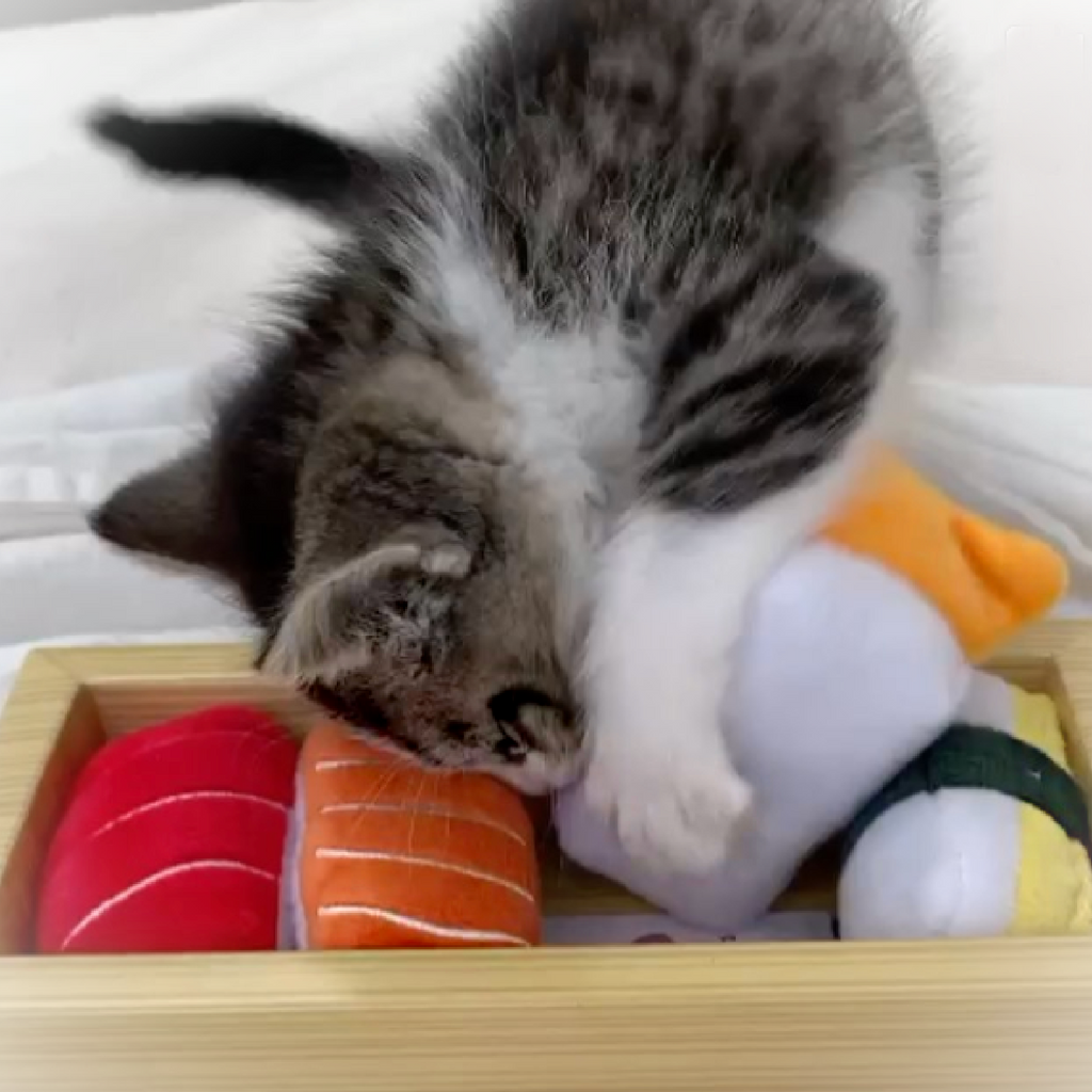MUNCHIE CAT NIGIRI SUSHI: Catnip Toy Set